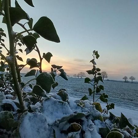 Appartamento Zum Kranichblick Glinstedt Esterno foto